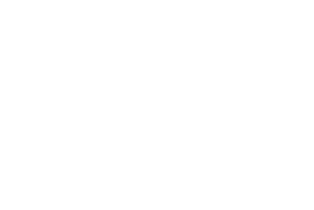 logo faguo