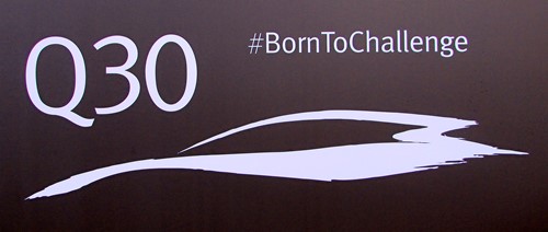 q30 born to challenge