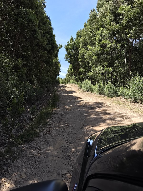 jeep compass off road sintra