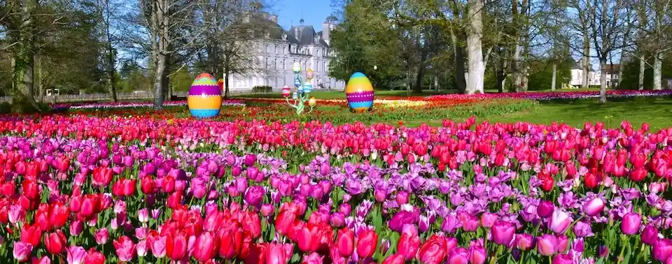 Tulipes au château de Cheverny