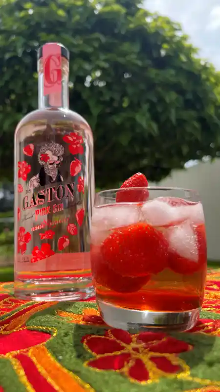 Mr. Gaston Pink Gin - cocktail fraise