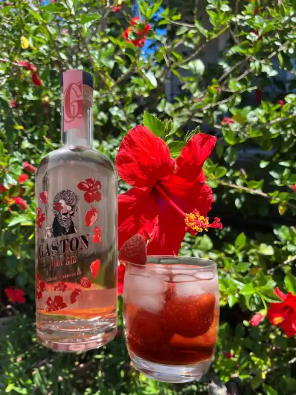 Mr. Gaston Pink Gin - Hibiscus